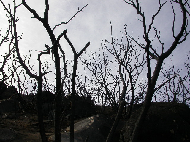 DSCN0112